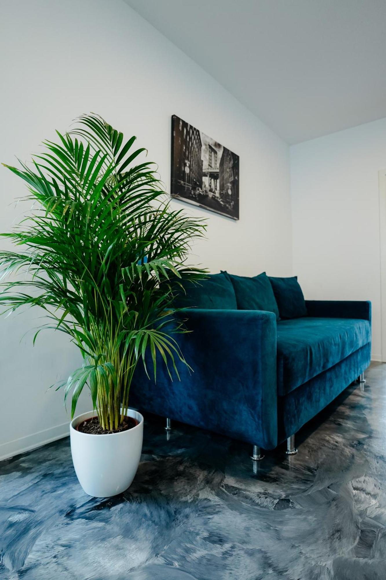 Andrew Apartaments คลูจ-นาโปกา ภายนอก รูปภาพ